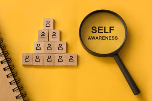 Self awareness and life satisfaction