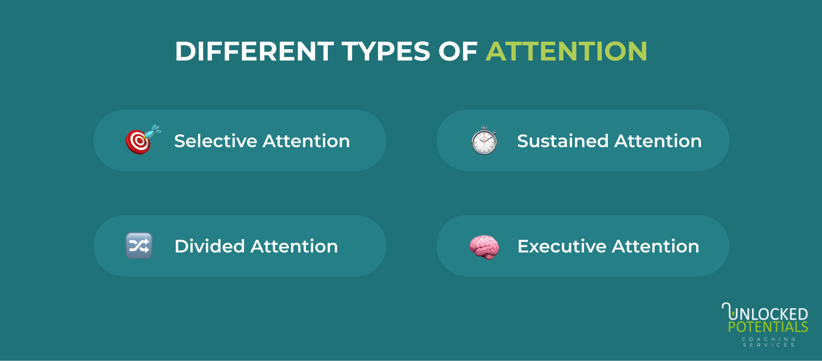 Different types of attention: Selective, Sustained, Divided, and Executive.
